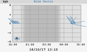 Wind Vector