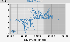 Wind Vector