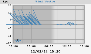 Wind Vector